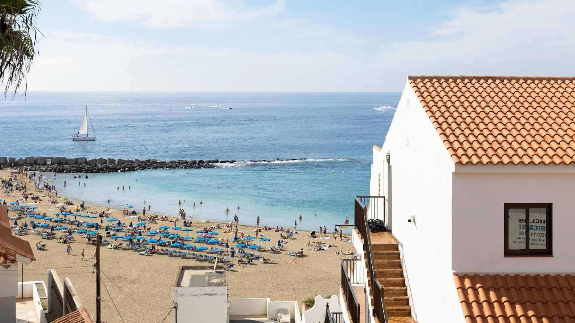 Live Los Cristianos Avenida Habana Arona